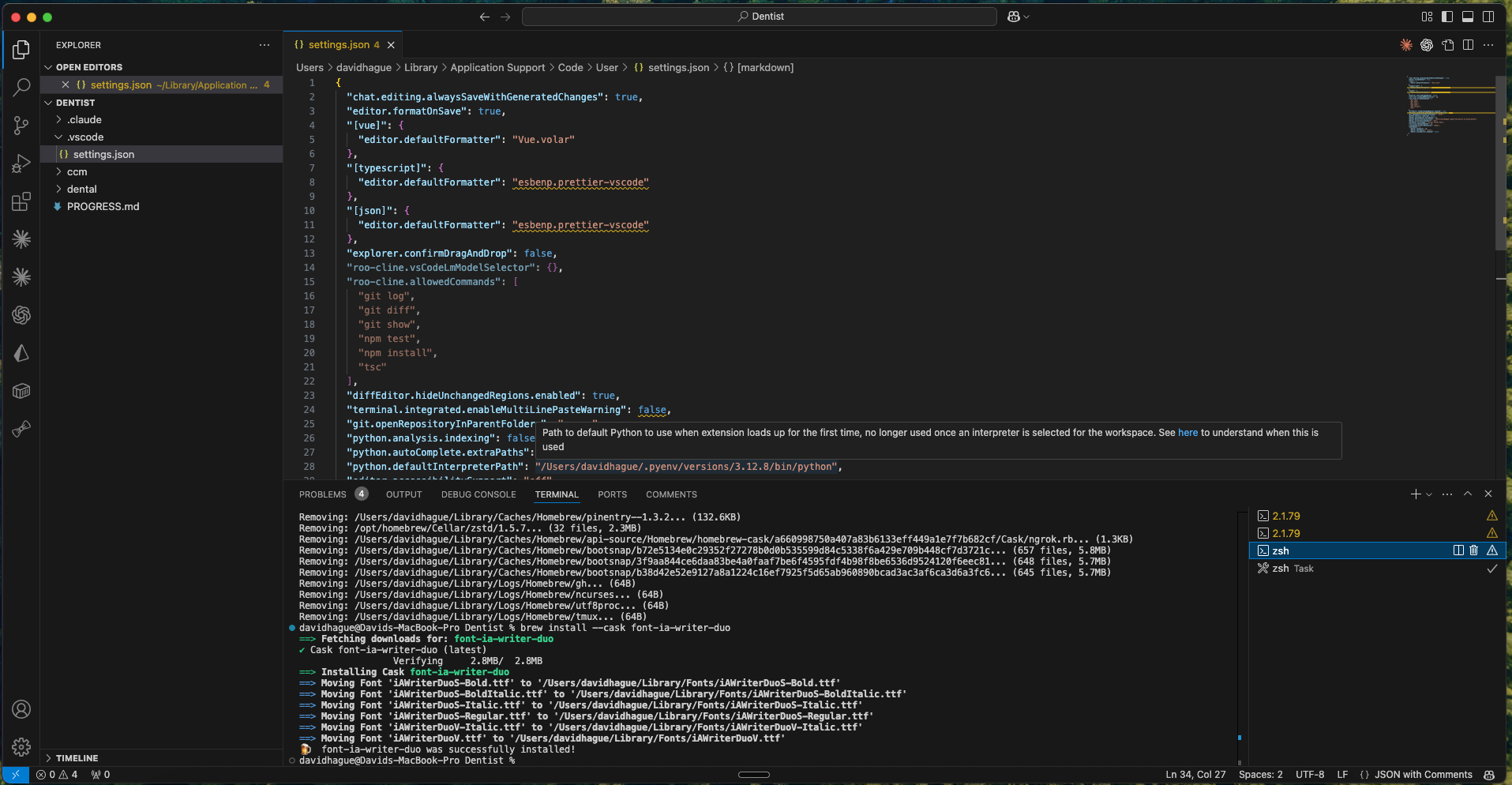 VS Code in code mode -- dark theme, terminal panel, monospace font